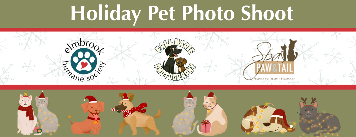 Holiday Pet Photo Shoot (at Spa, Paw, & Tail)